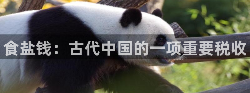 威九国际取款