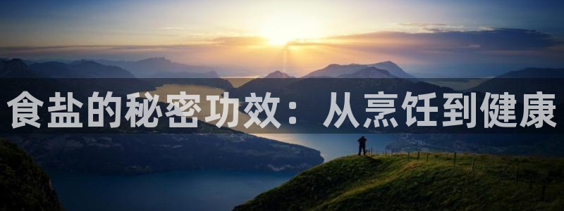 威九国际app大全下载安装