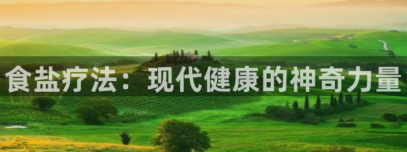 威九国际X8