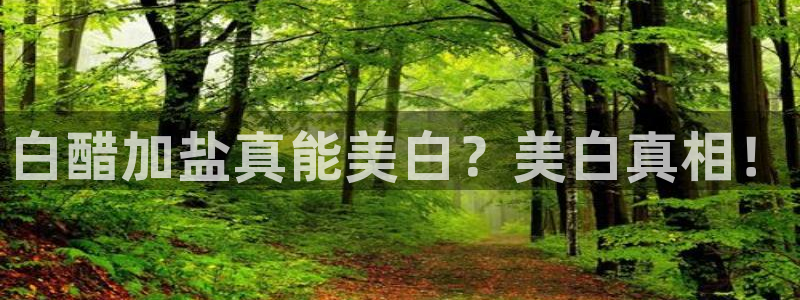 威九国际免费ppt网址