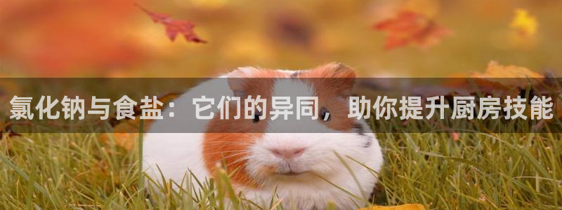 威九国际的演员
