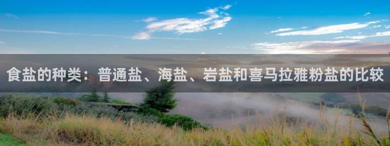 威九国际女星