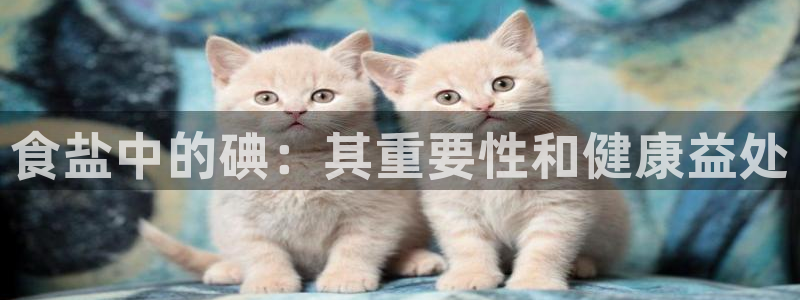 威九国际的金融服务怎么样