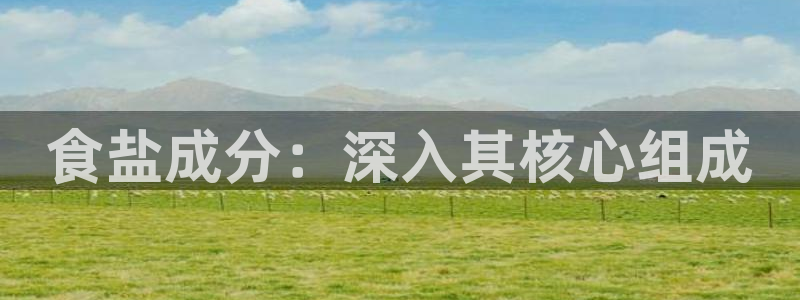 威九国际网站入口地址查询