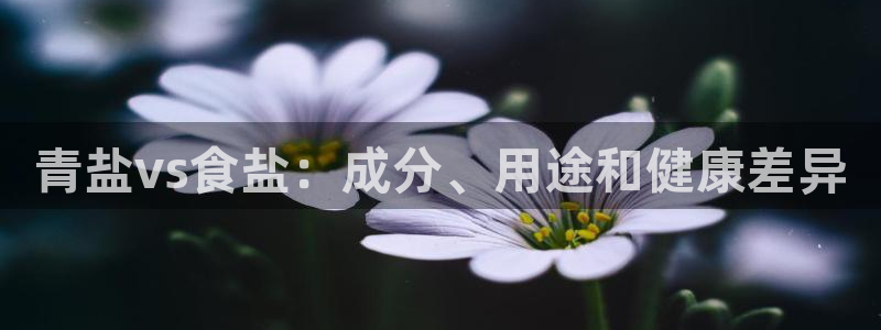 威九国际游戏app网址