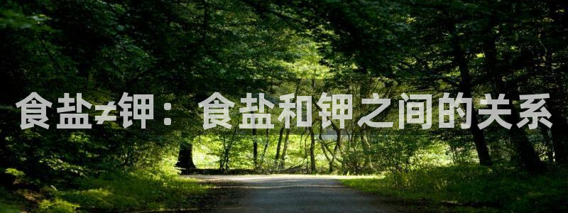 78mapp威九国际媒体央视