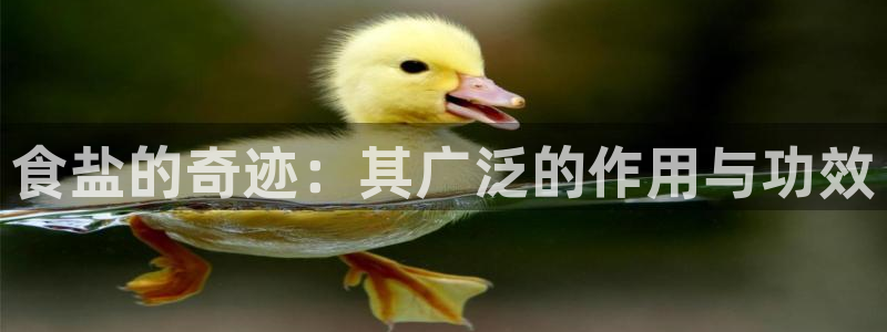 威九国际v8