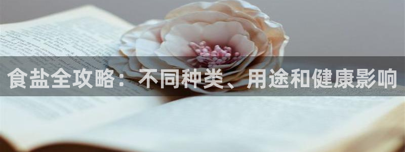 威九国际X8
