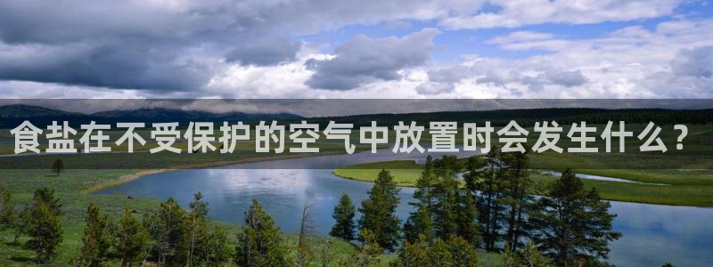 66m威九国际精选