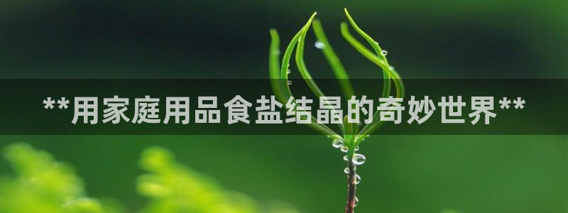 威九国际女主角