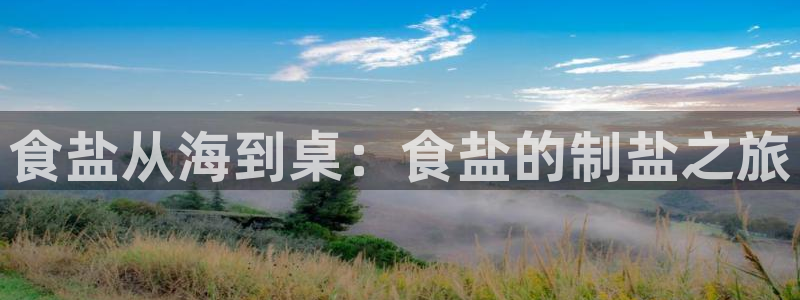 威九国际X8