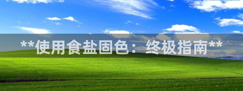 威九国际女明星