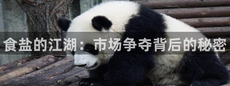 威九国际网站传媒