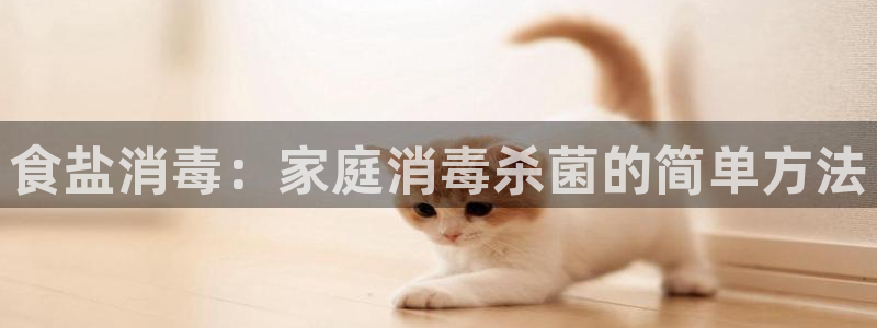 威九国际网站进入(中国)有限公司-官网