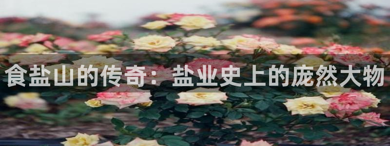 威九国际女明星