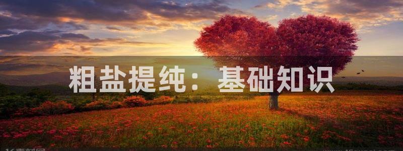 威九国际哪国的