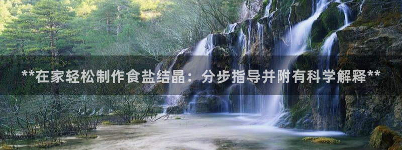 威九国际APP那个地方