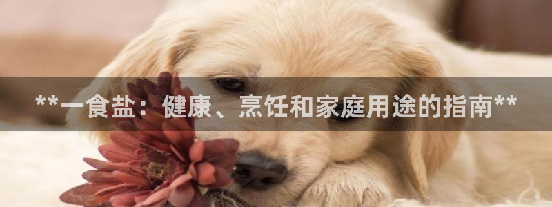 威九国际APP下载