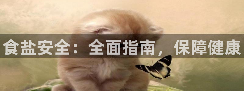 威九国际网站官网