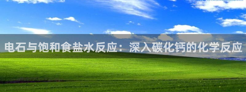 威九国际v18