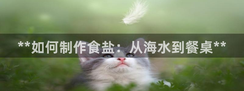 威九国际H