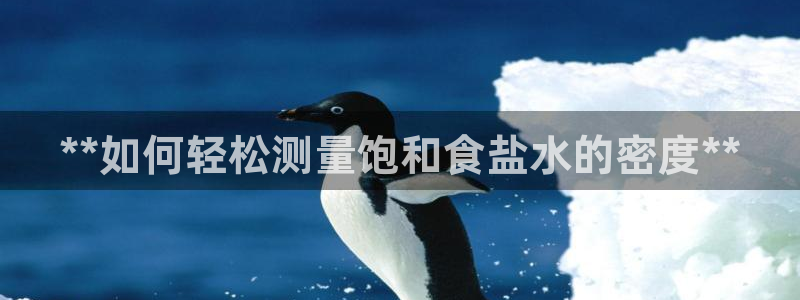 威九国际X8
