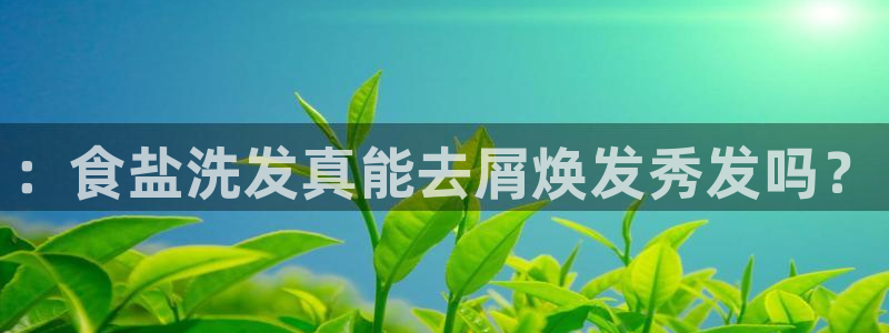 威九国际网站入口官网免费下载