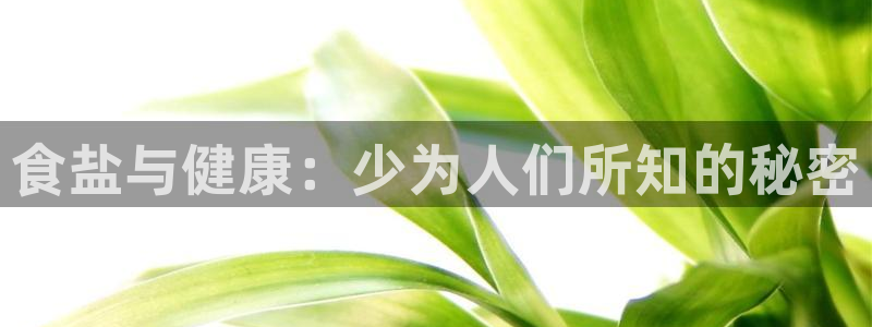 保定威九网络科技有限公司招聘