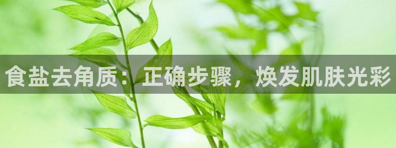 威九国际网站怎么样