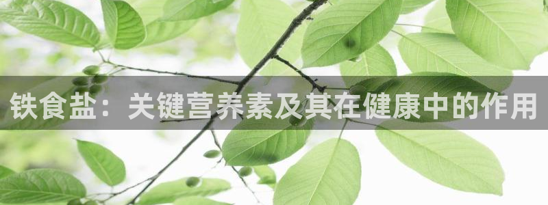 78mapp威九国际最新版