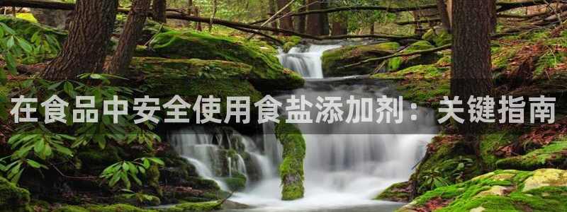 威九国际网站进入公司不断创新