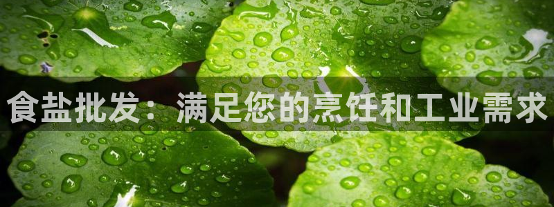 威九国际真人玩家在线对战