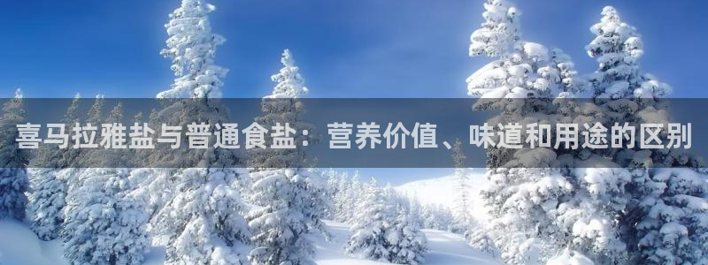 威九国际官方下载