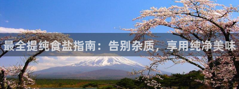 威九国际可以退钱吗怎么退款