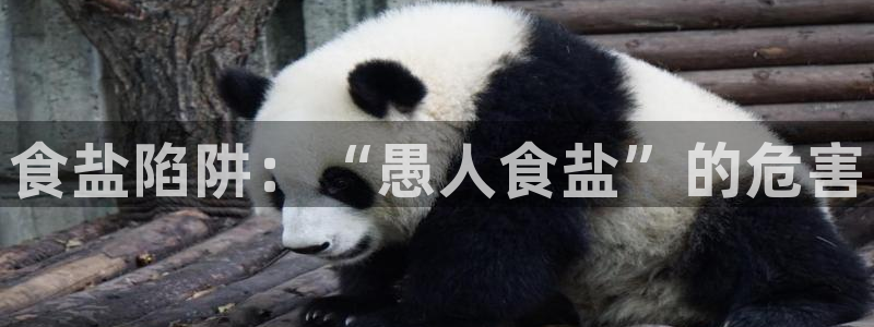 威九国际电子游戏