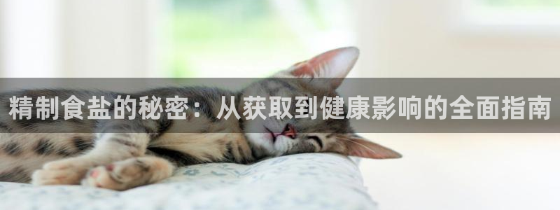 威九国际女神