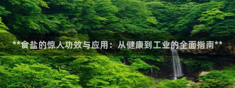 威九国际的金融服务怎么样