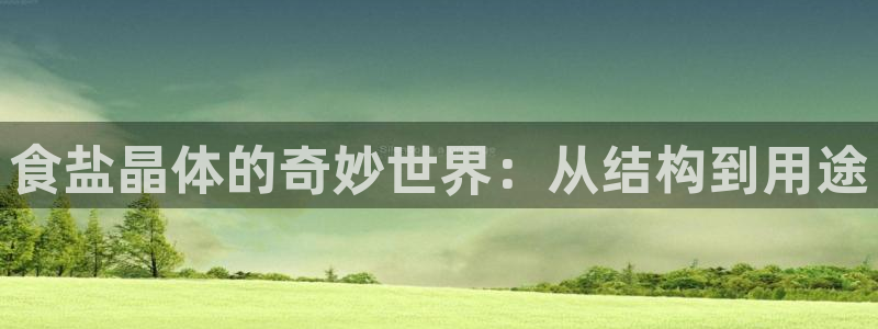 威九国际如何下载