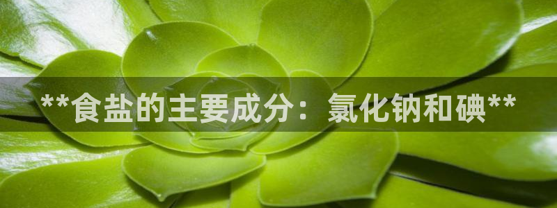威九国际网站入口地址