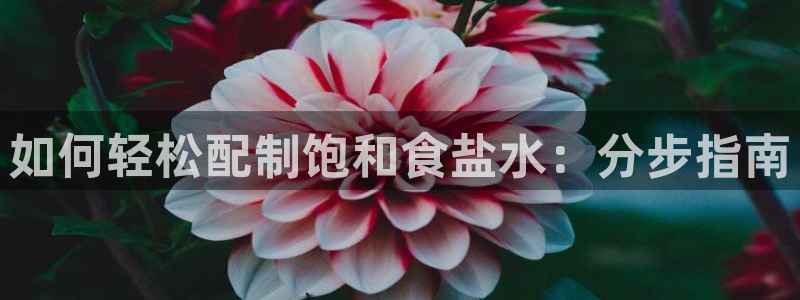 威九国际78app