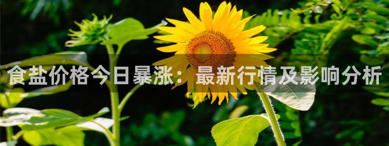 威九国际留学