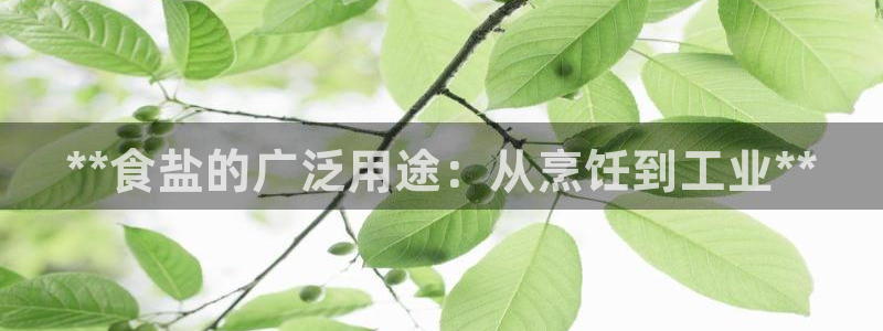 威九国际78