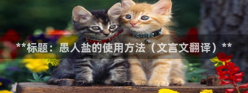 威九国际的金融服务怎么样