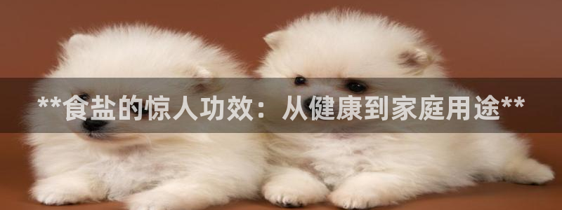 威九国际官方网站最新版本更新内容介绍