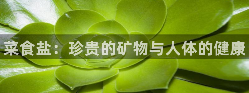 威九国际网页看视频弹窗的广告拦截插件