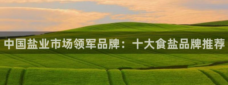 威九国际旗下艺人都有谁