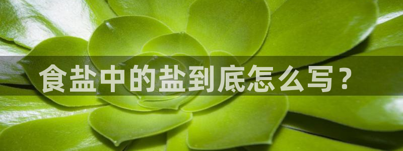 威九国际v8