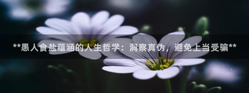 威九国际78mb游戏