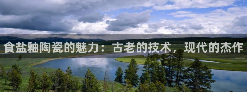 保定威九网络科技有限公司是干嘛的