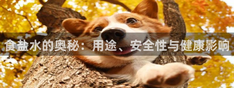 威九国际理论片最经典十首歌曲